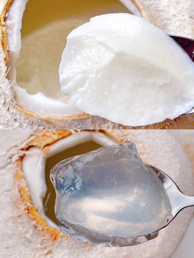 Coconut Jelly Bubble Tea1
